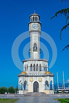 Chacha Tower in georgian town Batumi