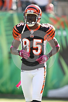 Chad Johnson