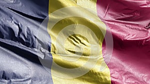 Chad textile flag waving on the wind loop