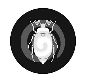 Chafer logo. Isolated chafer on white background