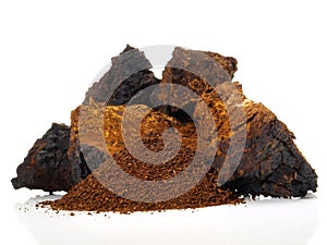 Chaga Mushroom - Healthy Nutrition