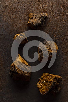 Chaga mushroom Inonotus obliquus on dark background