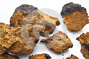 Chaga Mushroom Pieces