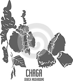 Chaga mushroom silhouette vector illustration