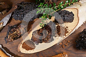 Chaga Mushroom on a wooden Table - Healthy Nutrition