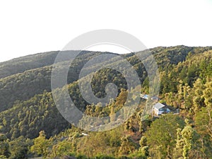 Chail , Shimla