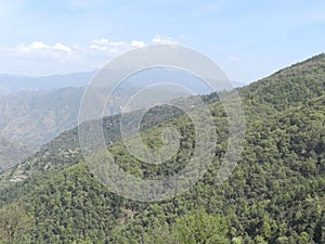 Chail , Shimla photo