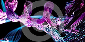 Chain of amino acid or bio molecules called protein