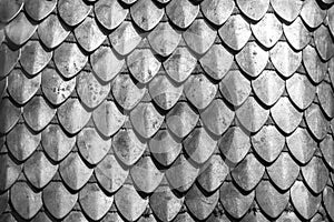 Chain armour element made of the steel plates photo