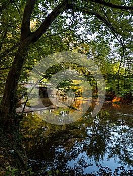 Chain bridge in autumn
