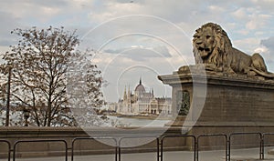 Chain Bridge, Budapest