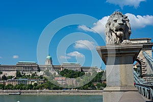 Chain bridge Budapest Hungary with Castle Hill