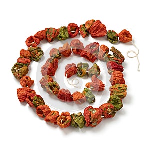 Chain of dried peppers, Biber Kurusu, isolated on white background photo