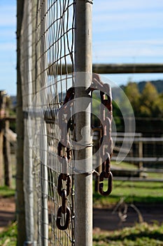 Chain on a fence