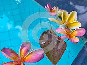 a chain of floating flowers