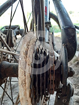 chain and gear, both as a means of propelling a bicycle that is gripped by the foot