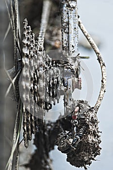 Chain and gears full with mud