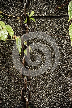 Chain and leaves on wall