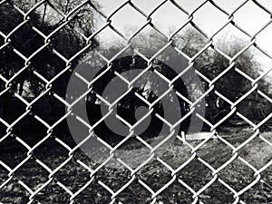 Chain Link closeup in Black and White