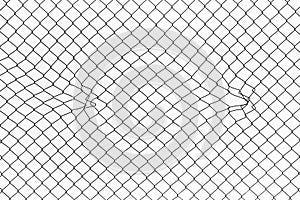 Chain link fence