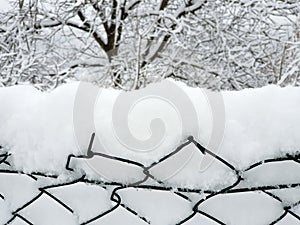 Chain-link fence close-up and trees covered by white snow  - winter in countryside