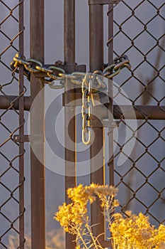 Chain link fence closed with padlock and bush