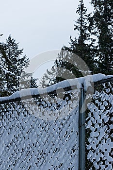 Chain link fence covered in fluffy white snow