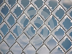 A chain-link fence covered with snow in a sunny winter day