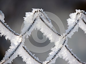 A chain-link fence covered with snow in a sunny winter day