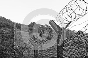 Chain-link fencing and Barbed wire