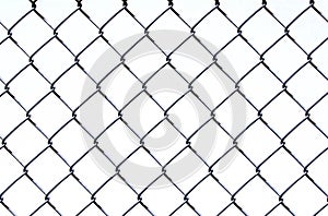 Chain Link on White