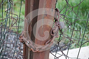 Chain and lock on a fence, all full of rust on a meadow in Oude