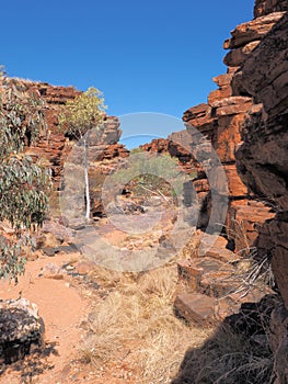 Chain of ponds walk near John Hayes rockhole, Trephina Gorge