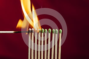 Chain reaction in matches.