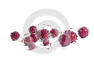 Chain of red decorative balls photo