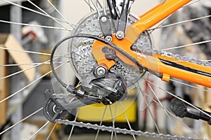 Chain rings and rear derailleur of a bike