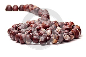 chain and spiral of chestnuts on white background - autumn/winter decoration