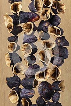 Chain of traditional dried Turkish eggplants