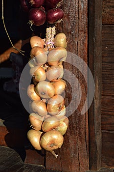 Chain of white onions hanging on wall