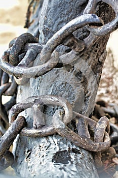 Chain wrapped around the anchor photo