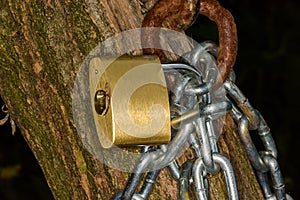 Chained tree, symbolizing the defense of the forests. Environmental concept. Padlock on tree. photo