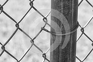 Chainlink fence post in black and white
