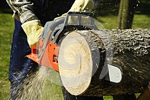 The chainsaw photo