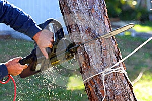 Chainsaw photo