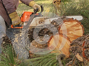 Chainsaw Action