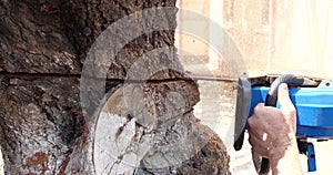 Chainsaw in action for cutting wood. worker cuts a tree trunk into logs with a saw. Close-up of a saw in motion, sawdust