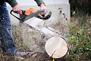 Chainsaw blade cutting log of wood