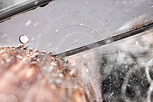 Chainsaw blade cutting log of wood