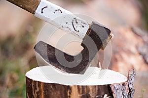 Chainsaw blade cutting log of wood