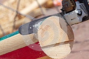 Chainsaw blade cutting on the tree